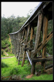 Noojee Trestle Bridge