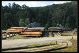 Powelltown Timber Mill