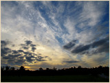 Late Afternoon Cloud