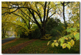 Healesville Victoria 