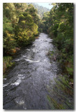 Yarra river Warburton