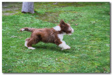 Thumper - Life is full of fun fun fun.