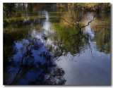  Yarra river 