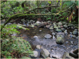 Badger creek