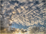 Early morning cloud
