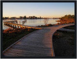 Raymond Island Boardwalk