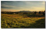  Warramate Hills
