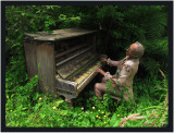The pianist reconstructed after bushfire