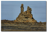 Eagles nest at low tide