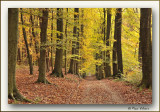 Herfst Fall Automne