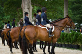 Scene from Horse and Colt Show
