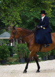 Scene from Horse and Colt Show-Sidesaddle