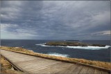 Boardwalk near the Casuarina Inlet