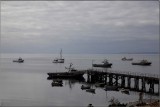 Boats in the harbour