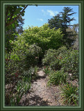 Top pathway through the garden