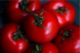 Tomatos - or Love Apples