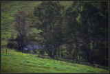 View of our dam
