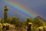 Desert Rainbow - Taliesen West