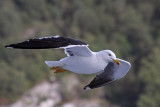 IMG_5426.jpg