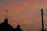 December 22 2007: <br> The Chattering Wires