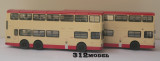 Dennis Dragon 11m(F type)-0380.jpg