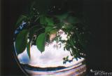 fisheye37.jpg