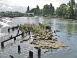 The weir pool at low tide.