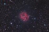 IC5146 Cocoon Nebula crop