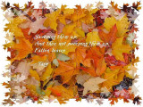 Fallen leaves