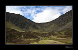 corrie fee