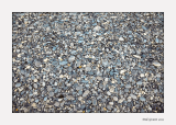 pebble dash