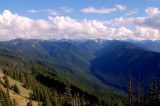 Hurricane Ridge 