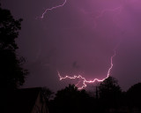 IMG_3081b.jpg