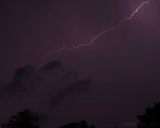 IMG_3964b.jpg