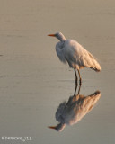 IMG_5345b.jpg