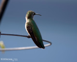 IMG_6869b.jpg