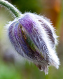 IMG_8664.jpg