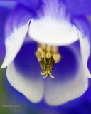 IMG_8679.jpg