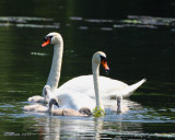 IMG_3205b.jpg