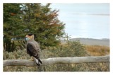 Parque Tierra del Fuego