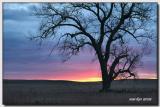 changing shades of morning skies ... 