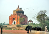 Today, as yesterday.... Tomb of Sheikh Musa, Agra-Jaipur Road