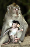 Mother and baby