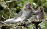 Toilette