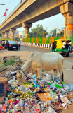 This is India...