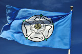 The Rose