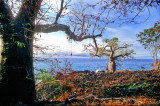 Before sunset at Lagoa Azul = The Blue Lagoon