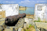 Gun with a view