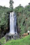 Thomsons Waterfall