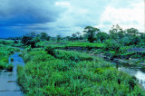 Rainstorm over the River